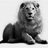 leothelion66